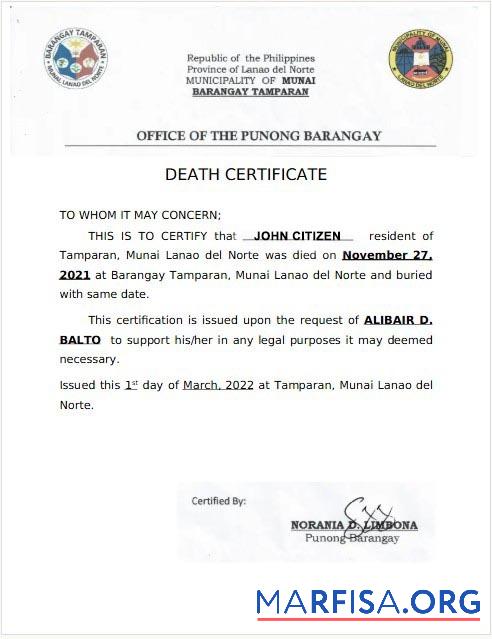 Printable Philippines Office of the Punong Barangay death certificate sample